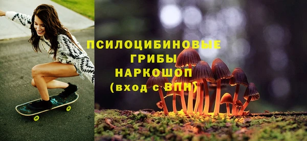 PSILOCYBIN Абинск