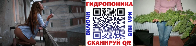 Бошки Шишки THC 21%  Куртамыш 